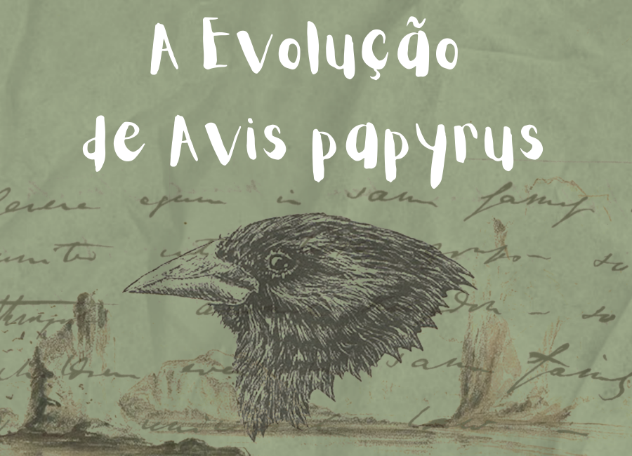 Avis Papyrus