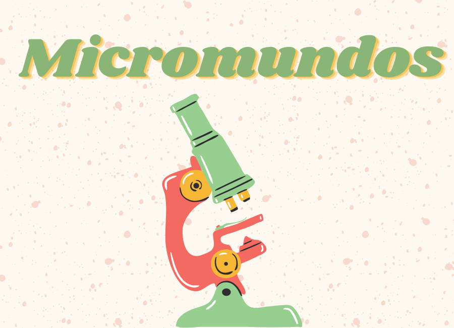 Micromundos